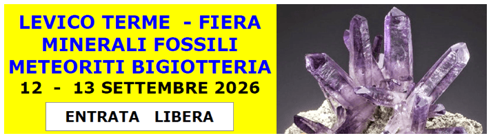 Fiera Minerali Fossili Meteoriti Bigiotteria - 12-13 settembre 2026
